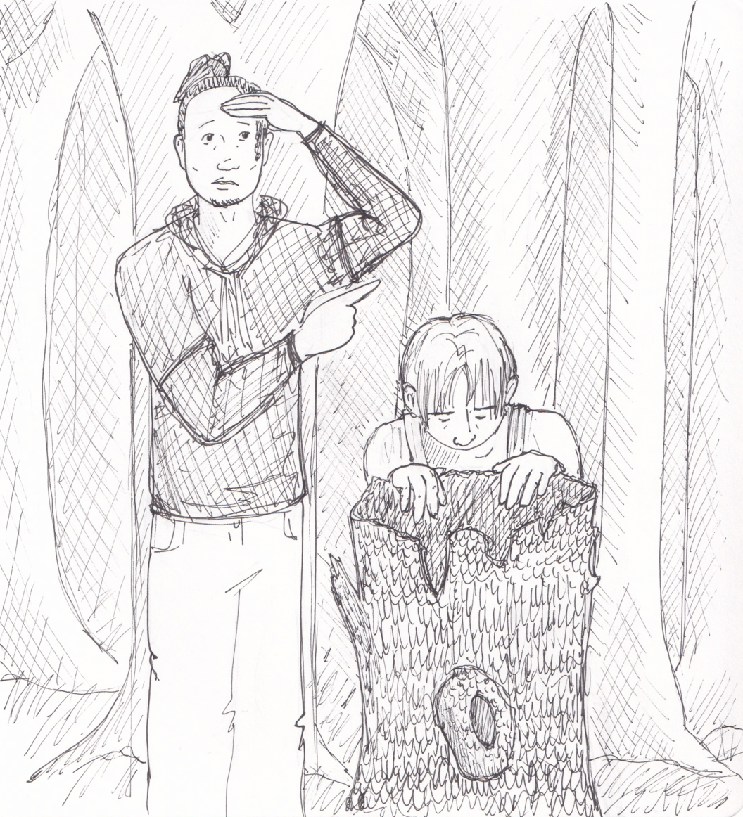 Still in the woods, Q peers at something in the distance and starts to point. Greg is looking into a hollow tree stump.